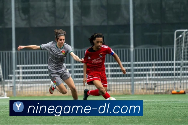 九游官网全站App